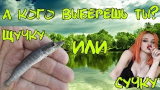 Озеро черталы омская область рыбалка 2018