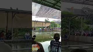 Download lagu story wa mancing #hobimancing #mancing #shorts #shortvideo #trending mp3