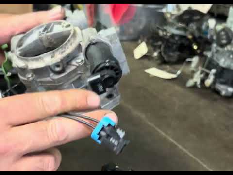How to find your Marine Carburetor Numbers