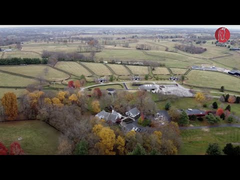 Taylor Made Farm : découvrez le géant américain des ventes