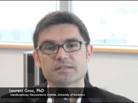 PSD-95 expression controls L-DOPA dyskinesia through dopamine D1 receptor trafficking