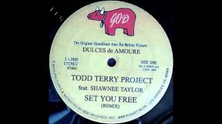 (2002) The Todd Terry Project feat. Shawnee Taylor - Set You Free [RMX]