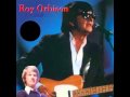 Roy Orbison - Working For The Man