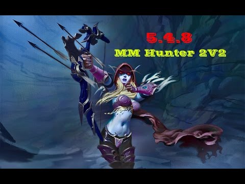 5.4.8 MM hunter pvp - hunter Rdruid 2v2 (1080p) insane matches