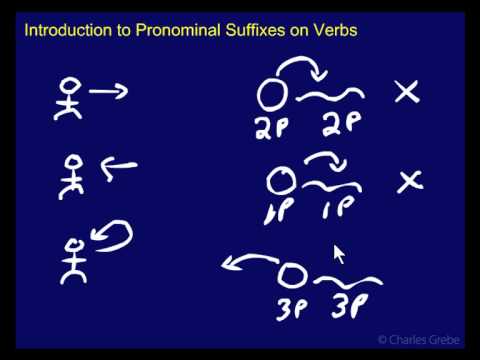 24.01   Introduction to Pronominal Suffixes on Verbs