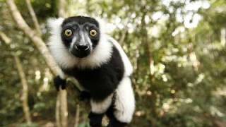 Paul Simon Thats where I Belong Cover