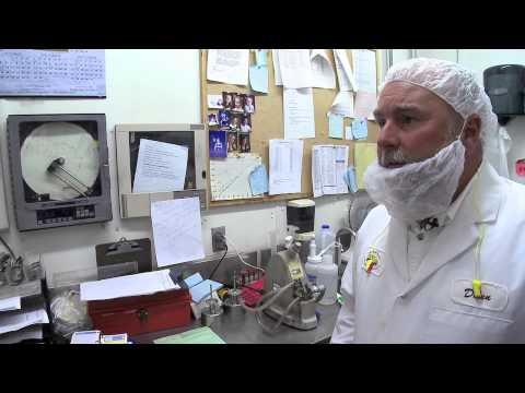 download lagu mp3 mp4 Liquid Eggs, download lagu Liquid Eggs gratis, unduh video klip Liquid Eggs