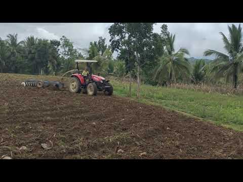 Tractor harrowing for corn production of,  LAND PREPARATION USING TRACTOR, http//www.tractor harrow
