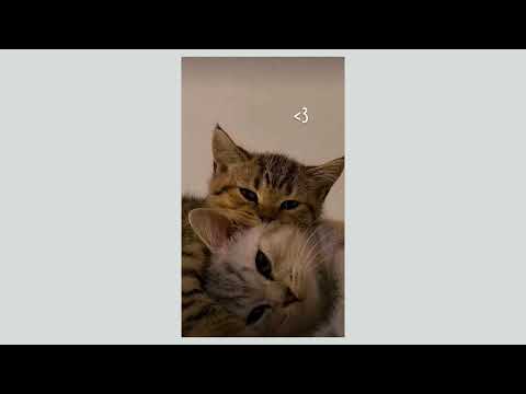 Me Sigues Amando - speed up