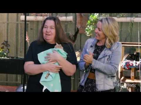 Happy Pets Episode: Brighter Future Cat Rescue