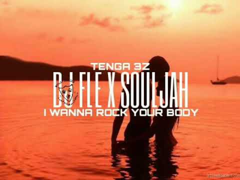 DJ FLE X DJ SOULJAH ROCK YOUR BODY