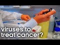 How Viruses can Cure Cancer | BBC Earth Science