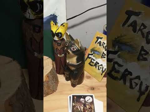 I had a speedy visitor in the garage this evening.