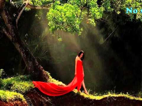 QUIERO SER LUZ por MERCEDES SOSA (Con letra)