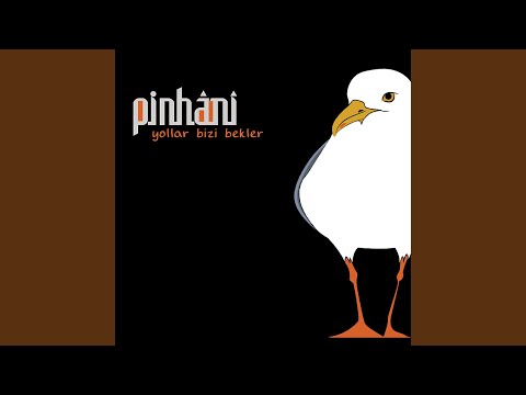 Pinhani - Kefen Giydim cover