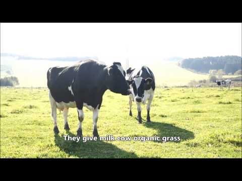 download lagu mp3 mp4 Hokkaido Milk, download lagu Hokkaido Milk gratis, unduh video klip Hokkaido Milk
