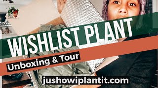Unboxing Houseplants From Pistils Nursery- Philodendron Micans & Wishlist Plant Tour
