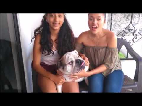 Colombian Au pair Juliana, 21 - EurAupair Video Profile