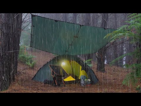 , title : 'CAMPING in HEAVY RAIN with TENT and TARP'