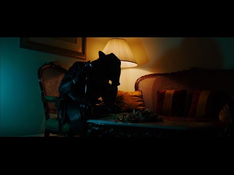 NILUM - Roses (Official Music Video)