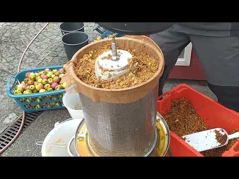 Apfelsaft selber machen mit 40L Hydropresse