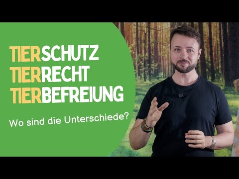 Was unterscheidet Tierschutz, Tierrecht & Tierbefreiung?
