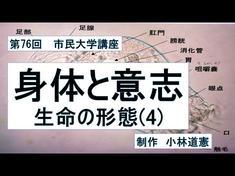 地域科学課程 身体と意志・生命の形態（４）