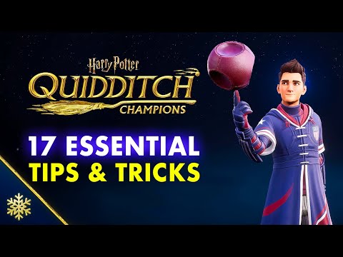 Quidditch Champion - 17 Essential Tips & Tricks I Wish I Knew Sooner
