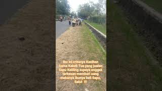 Download lagu MOTHERS' CONCERN FOR AN OLD GRANDFATHER WHO SELLS BROOMS mp3 Download lagu MOTHERS' CONCERN FOR AN OLD GRANDFATHER WHO SELLS BROOMS mp3