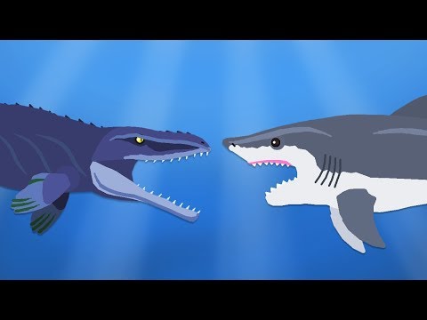 Mosasaurus vs Megalodon | Sea Monster Battle | DinoMania
