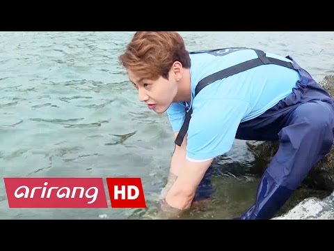 The SOS (Ep.4) Euiseong e Yeongdeok, província de Gyeongsangbuk-do _ Episódio completo