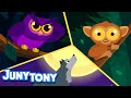 We Like The Night Nocturnal Animals Owl Wolf Tarsier Night Animal Kids Songs JunyTony