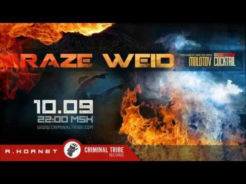 Molotov Cocktail #001 - Raze Weid [RUS] guest Breakbeat mix 2015