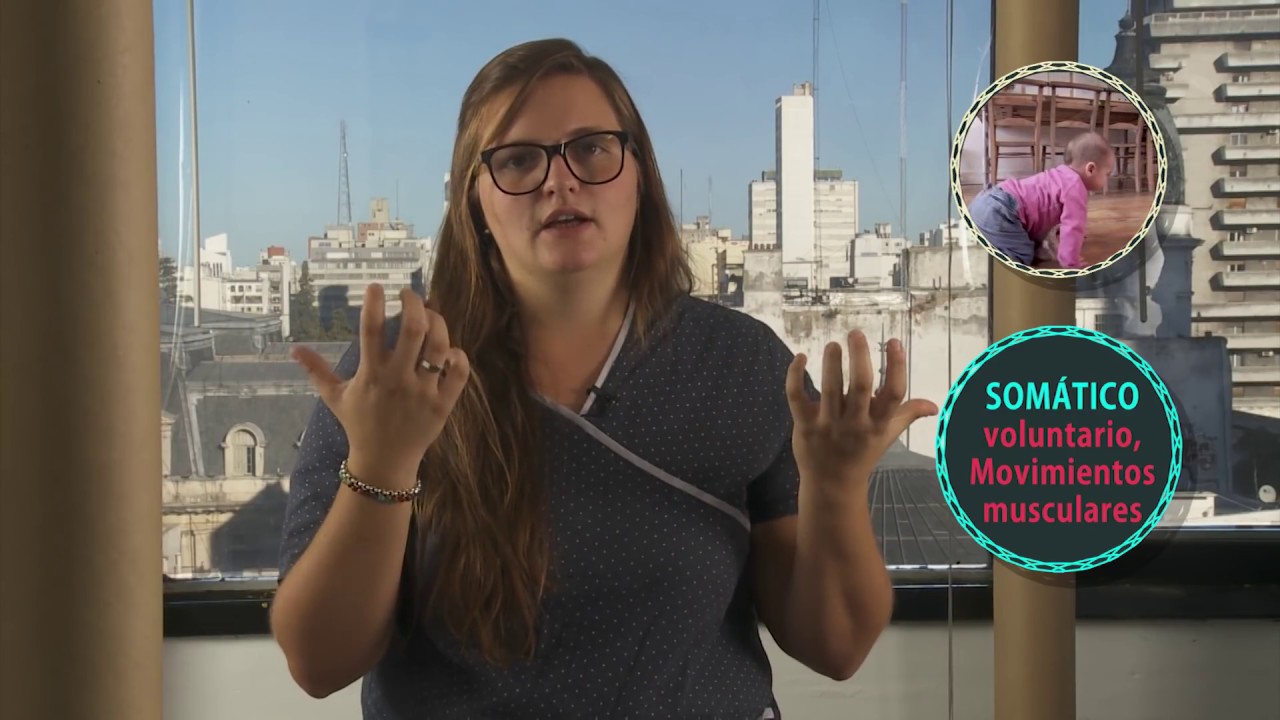 FISIOLOGÍA: Sistema Nervioso. PARTE I