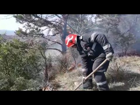 Incendiu de vegetație uscată pe raza comunei Scorțoasa