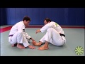 Turtle Guard Transitions and Recovery by Eduardo Telles (BJJLIBRARY.COM)