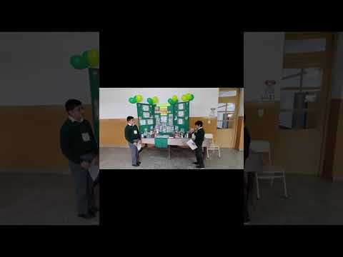 Feria de Ciencias- Alumnos de 6° Grado de la Escuela Antonio Clérico N° 4.380. EL GALPÓN-SALTA