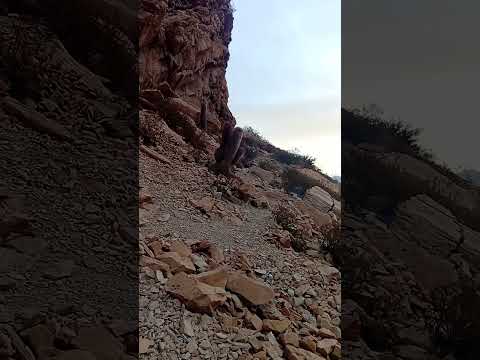 el portón Buta Ranquil Patagonia Argentina