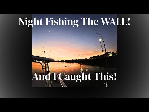 No Keeper, No Problem | Epic Sunset & Fishing Action at Indian River Inlet