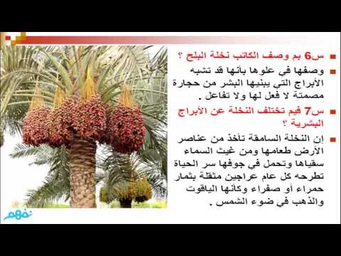 لحم خنزير مقدد اشرب ماء ألبوم التخرج كيف تتجلي قدرة الله في حبة القمح Thaiwheelchairsfordogs Com