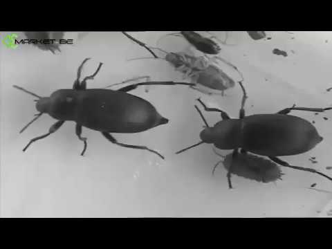 Electronic Ultrasonic Anti Pest Bug Mosquito Cockroach Mouse Killer Repeller