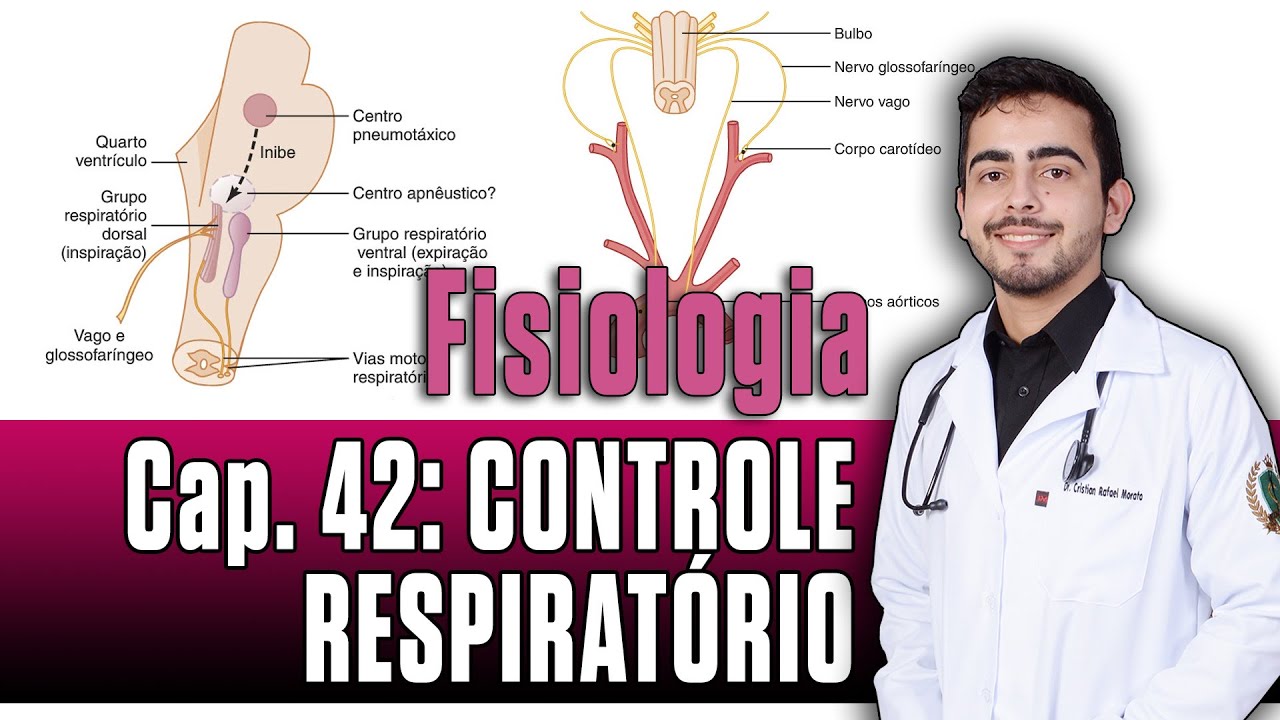 Fisiologia - Controle Respiratório (Capitulo 42) │ Guyton
