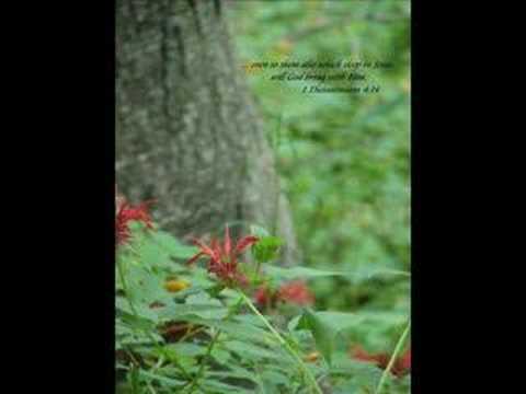 Rock of ages (there is no rock) - Rita Baloche