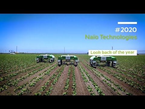 #Naio - 2020 - Look back of the year