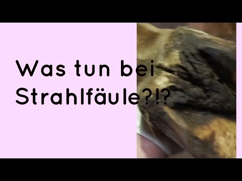 Schmerzen in der Brust Rückenschmerzen Schrecklich wund oberer Rücken