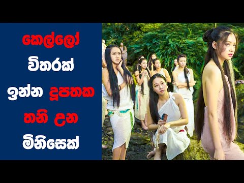"මන්කි කින්ග්" Movie Review Sinhala | Ending Explained Sinhala | Sinhala Movie Review