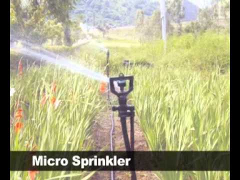 Rotating water sprinkler