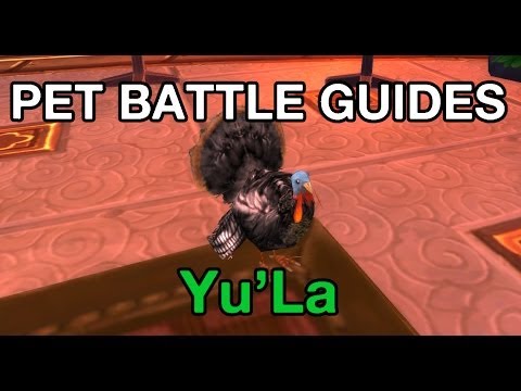 [WoW] Pet Battle Guides: Solo Yu'La with one pet