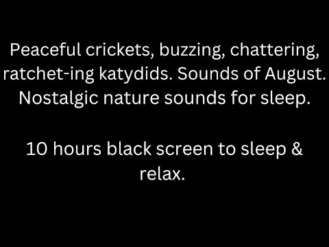 Peaceful crickets, buzzing chattering katydids, black screen sleep relax 10 hour cricket sounds
