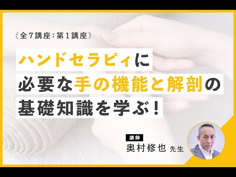 セラスフォラス・ルーファス